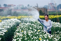 Bấm vào hình để xem slide Show