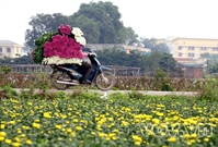 Bấm vào hình để xem slide Show