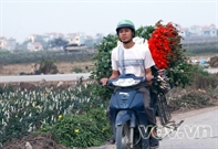 Bấm vào hình để xem slide Show