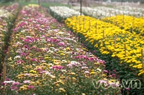 Bấm vào hình để xem slide Show