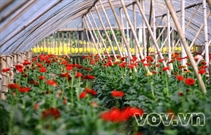 Bấm vào hình để xem slide Show