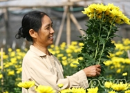 Bấm vào hình để xem slide Show