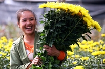 Bấm vào hình để xem slide Show