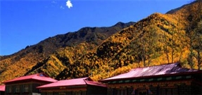 Bấm vào hình để xem slide Show