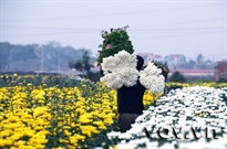 Bấm vào hình để xem slide Show