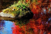 Bấm vào hình để xem slide Show