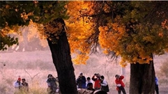 Bấm vào hình để xem slide Show