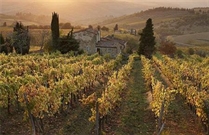 Bấm vào hình để xem slide Show