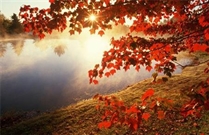 Bấm vào hình để xem slide Show