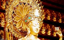 Bấm vào hình để xem slide Show