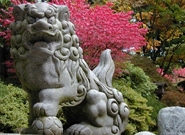 Bấm vào hình để xem slide Show