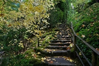 Bấm vào hình để xem slide Show