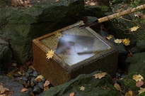 Bấm vào hình để xem slide Show