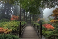 Bấm vào hình để xem slide Show