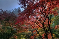 Bấm vào hình để xem slide Show