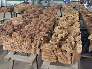 Bấm vào hình để xem slide Show