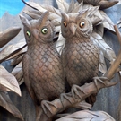 Bấm vào hình để xem slide Show