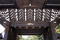 Bấm vào hình để xem slide Show