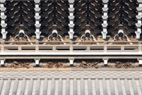 Bấm vào hình để xem slide Show