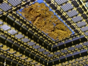 Bấm vào hình để xem slide Show