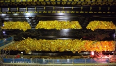 Bấm vào hình để xem slide Show