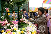 Bấm vào hình để xem slide Show