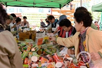 Bấm vào hình để xem slide Show