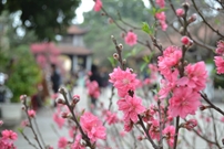 Bấm vào hình để xem slide Show