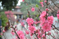 Bấm vào hình để xem slide Show