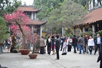 Bấm vào hình để xem slide Show