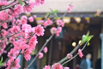 Bấm vào hình để xem slide Show