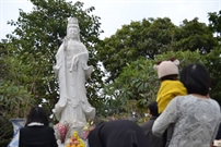 Bấm vào hình để xem slide Show