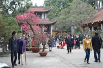 Bấm vào hình để xem slide Show