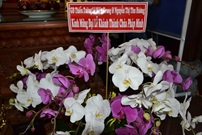 Bấm vào hình để xem slide Show