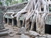 Di tích Phật giáo Ta Prohm