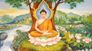 The life of Budda (BBC)