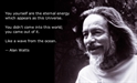 Alan Watts On Buddhism