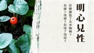 宗鏡錄略講上冊
（第四十章）