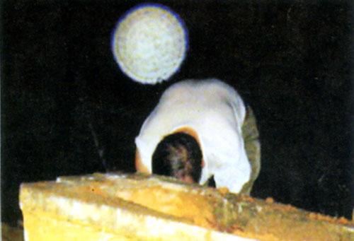 Chụp ảnh ''người âm'': Ngẫu nhiên có vòng tròn
sáng?