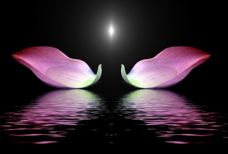 PHߦ¼T Hß+îC 1.jpg