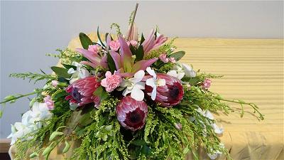 12924563_10208169312942659_4545891983864561004_n