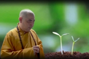 Click Xem hình lớn