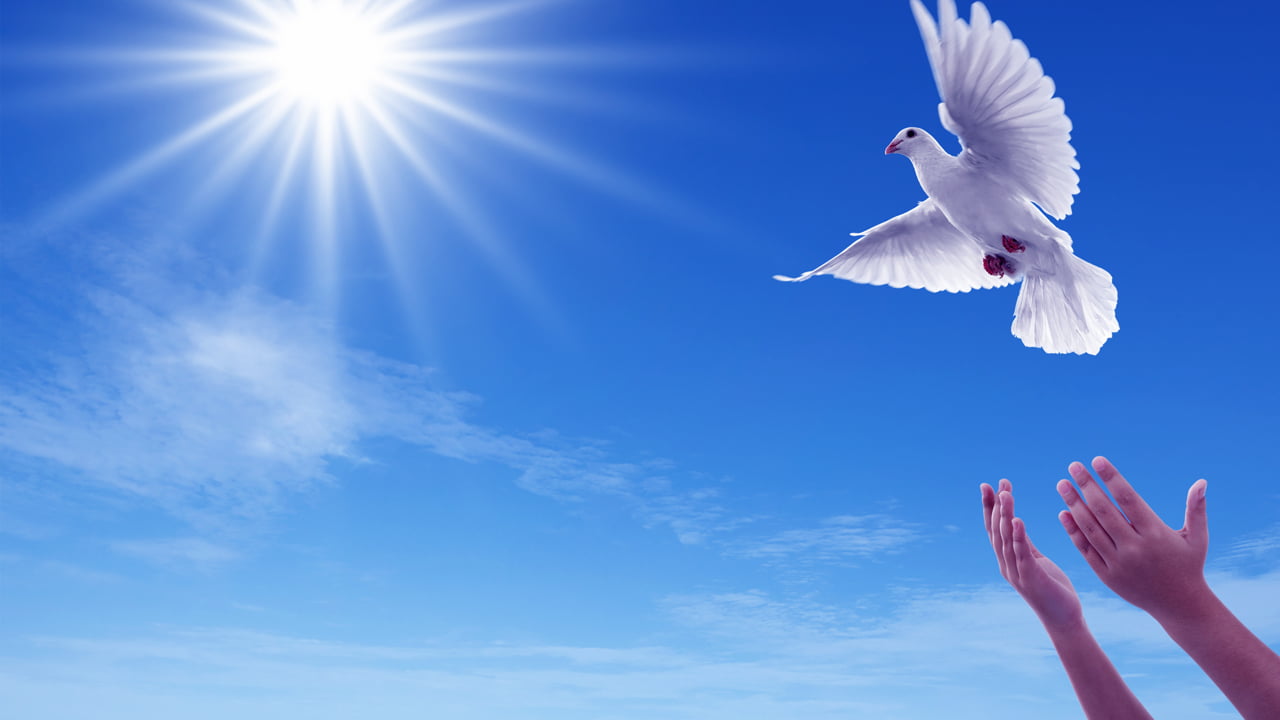 Tap chi Nghien cuu Phat hoc Xay dung quoc gia ly tuong theo tinh than Phat giao 3